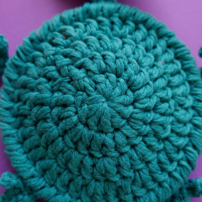 Mlem Froggy Coaster Crochet Pattern