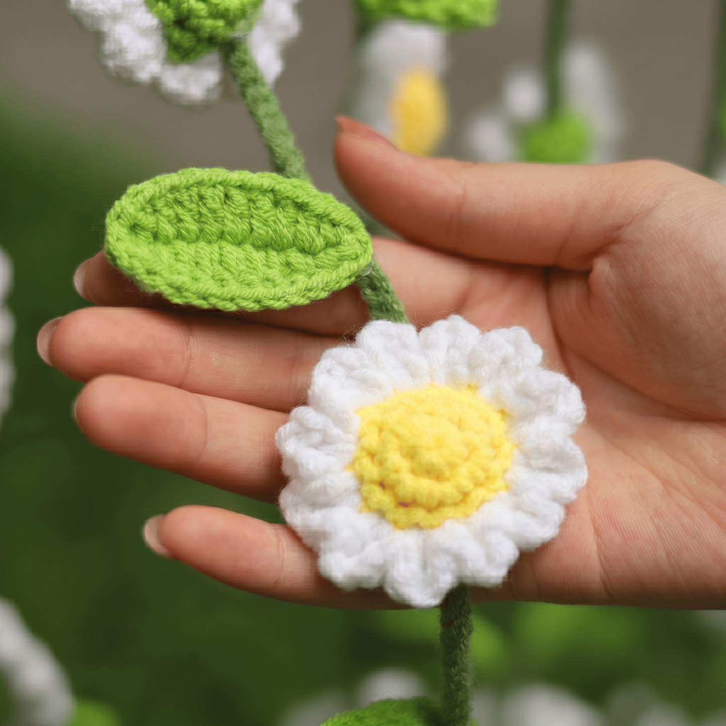 Daisy Curtains Crochet Pattern